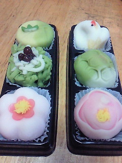 �璹���̐��َq