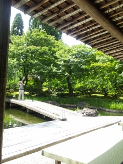 ���傤����뉀